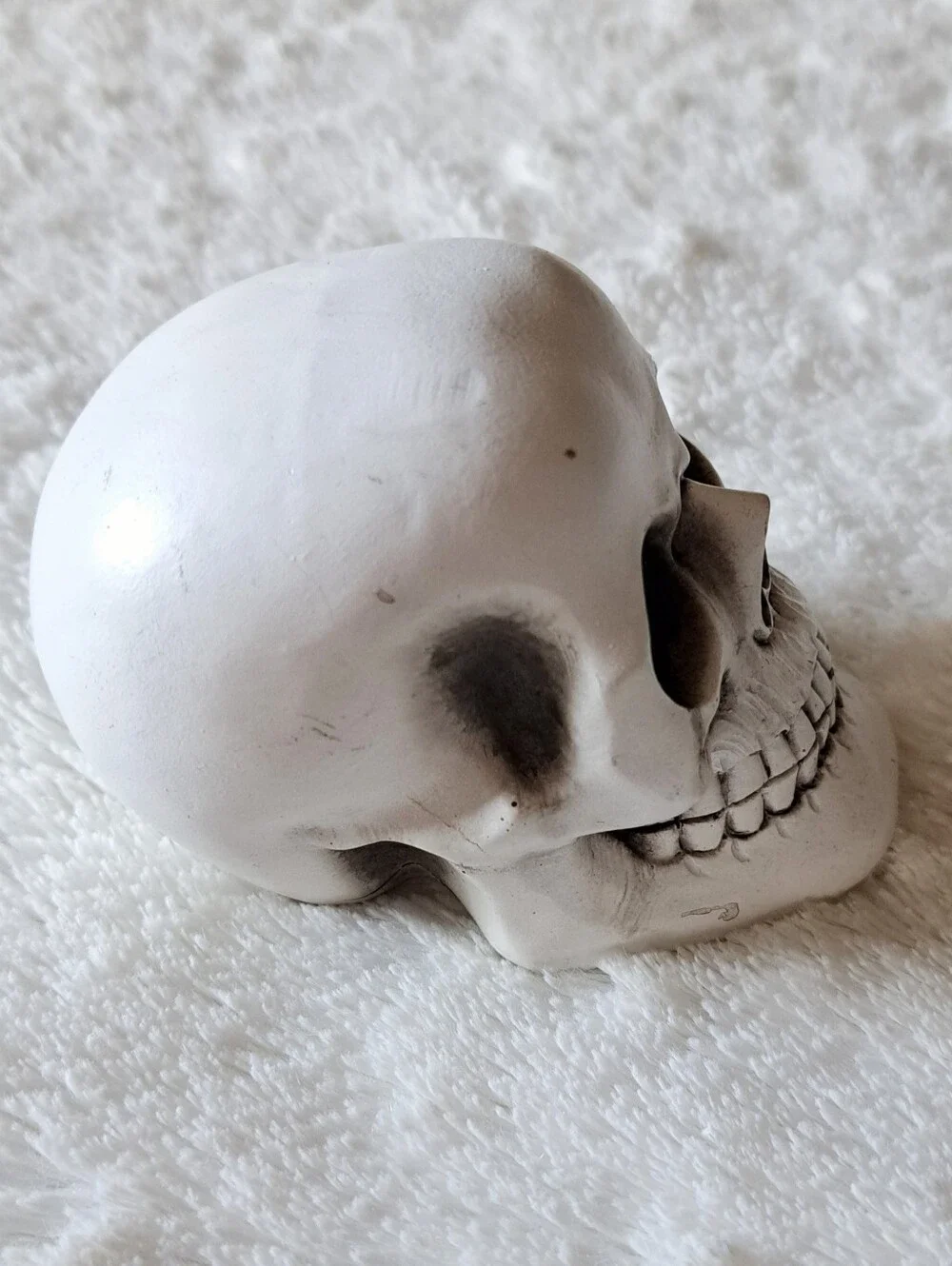 Halloween Decor Skull